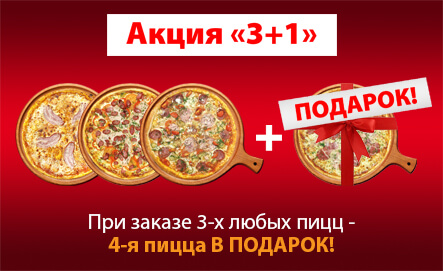3+1
